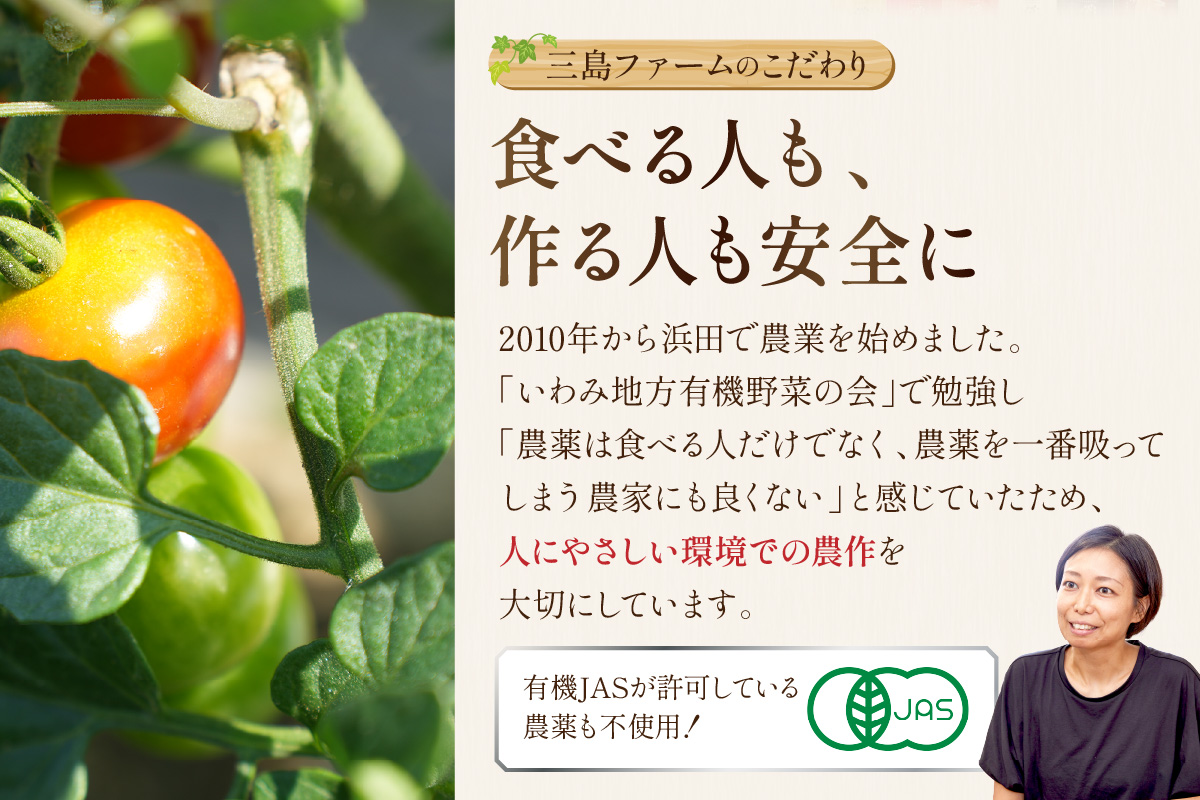 朝採り新鮮！有機野菜セット詰合せ（7～9種類）6回コース【定期便】 定期便 採れたて 産地直送 葉物 有機JAS認証 野菜セット 旬の野菜 野菜【139_1920】