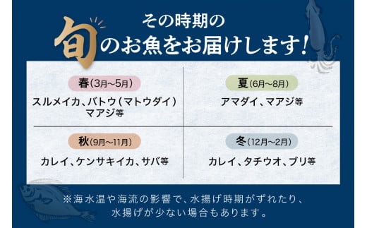 この男に任せてみませんか～浜田の旨い鮮魚直送便（下処理なし）～ 海鮮 鮮魚 詰め合わせ セット おまかせ 旬 直送便 人気 お取り寄せ【006_2048】