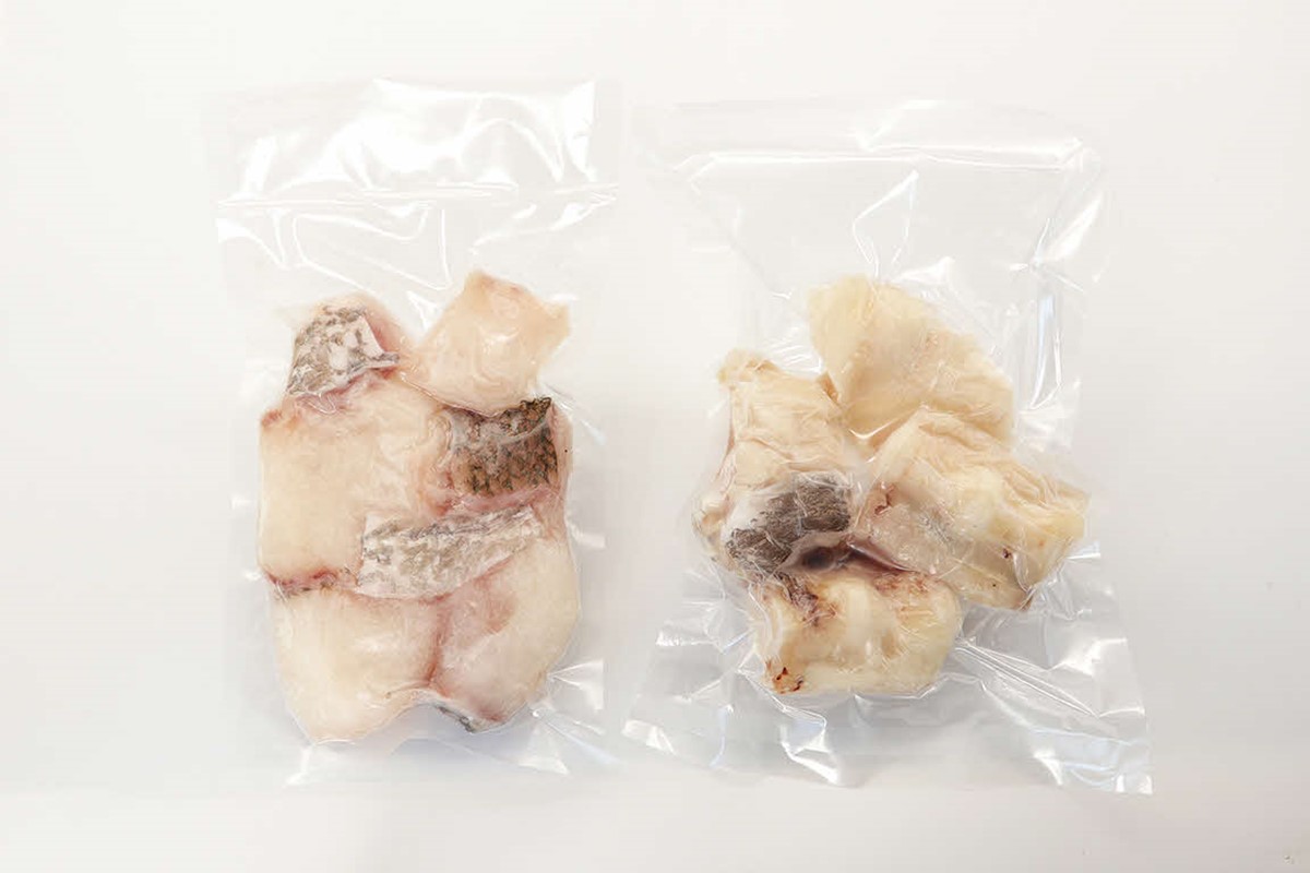 幻の天然クエ鍋2～3人前用切身合計500g （身200g、アラ300g）〈10～3月のお届け〉 【005_0143】