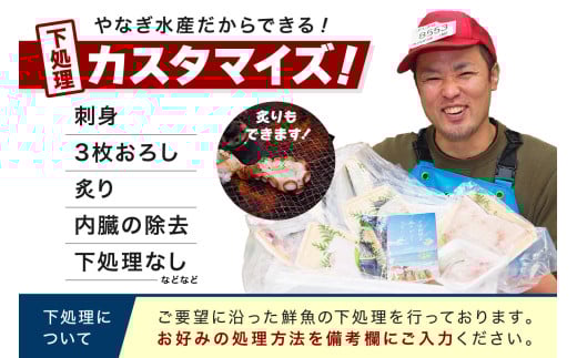 【定期便】どんちっち浜田【至高】の鮮魚 10回～最高級この男シリーズ～ 【006_2052】