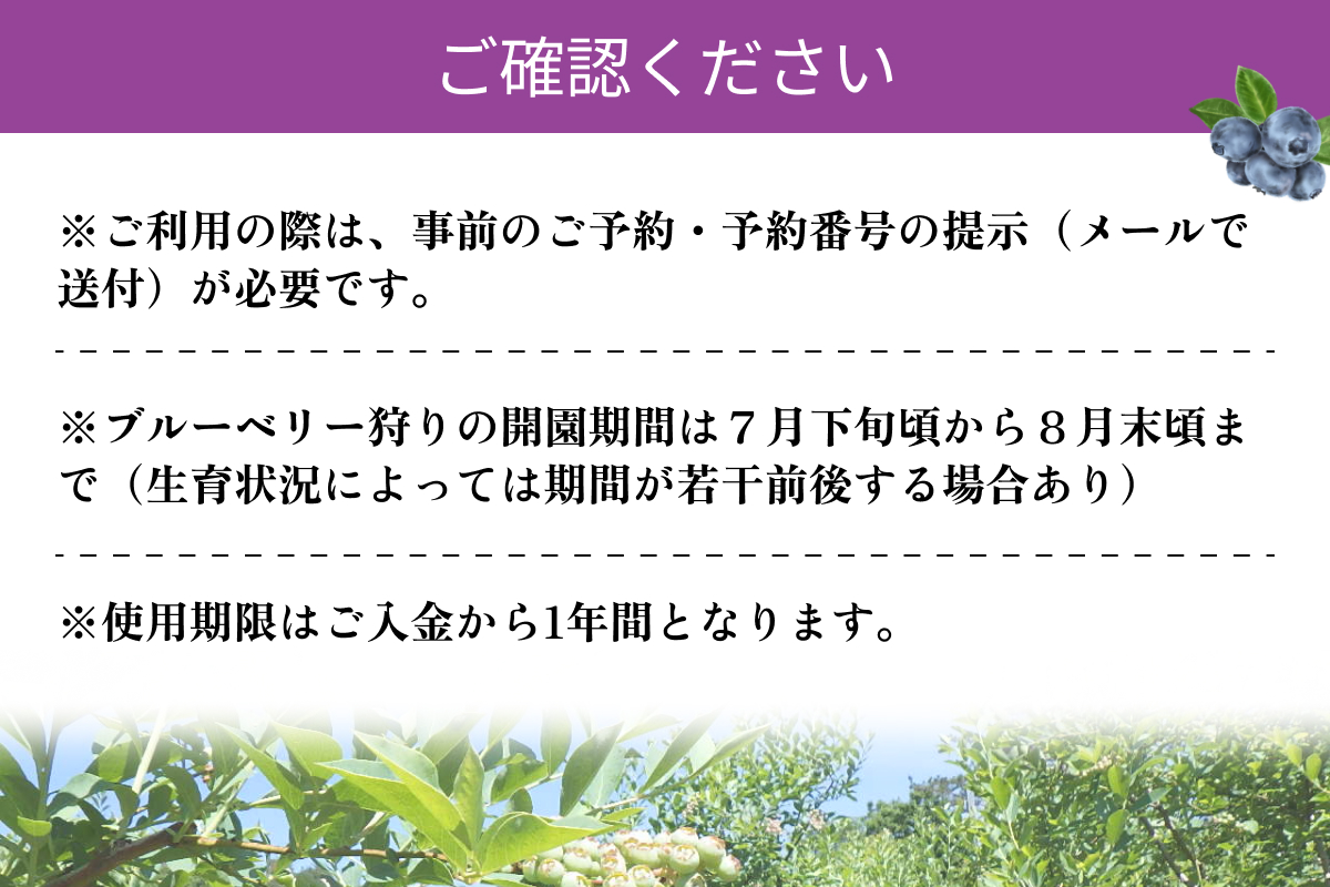 有機ブルーベリー狩り体験２名様（浜田市弥栄町「やさかファーム阿郷の里」） 【208_0002】