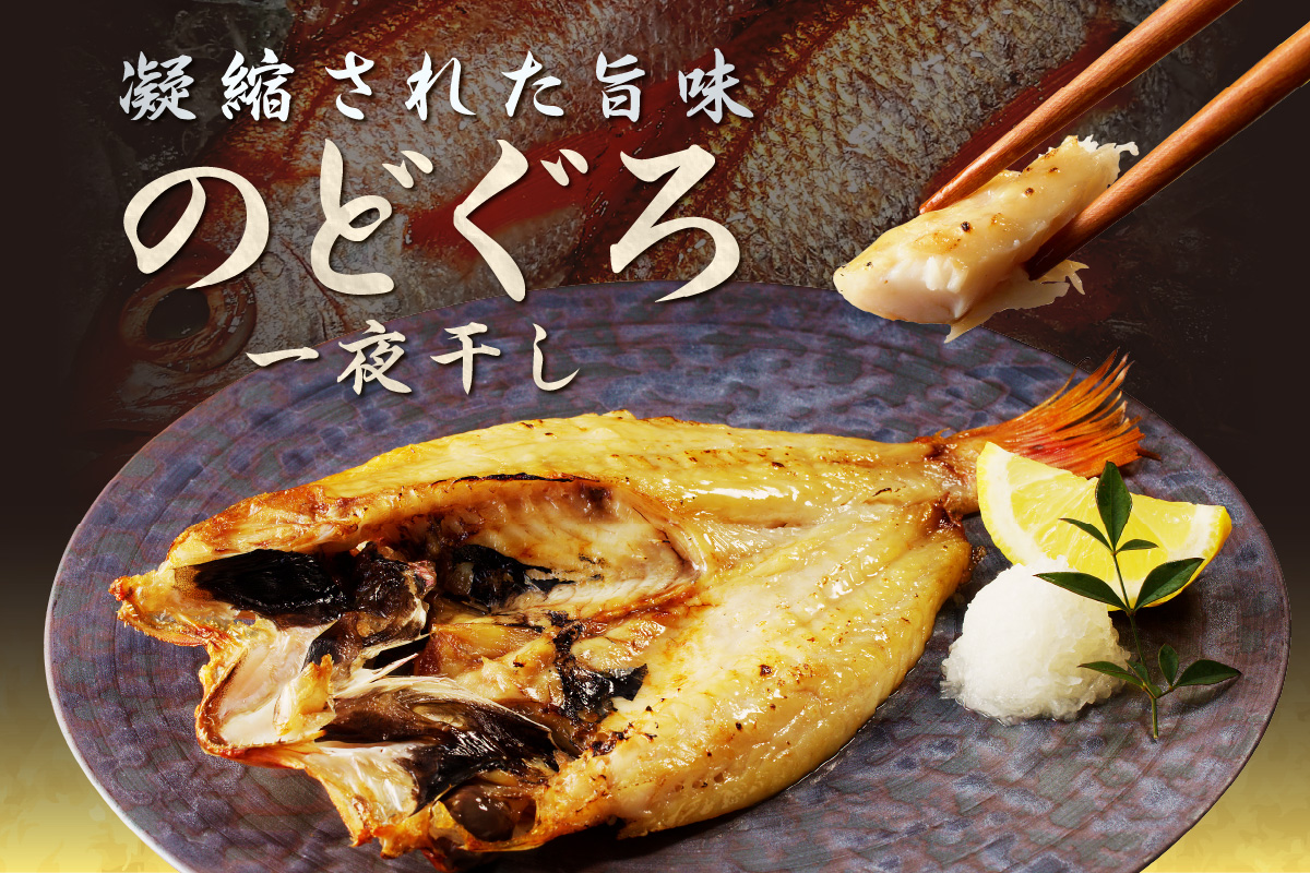 山陰浜田港 水揚げされた大きめ人気干物セット 魚介類 魚貝類 魚介 魚 干物 干もの 一夜干し 干物セット セット 加工品 【025_0426】