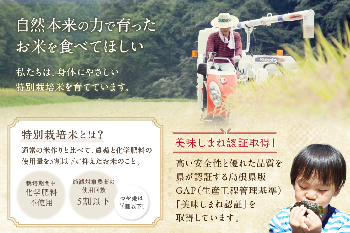 【定期便】【令和7年産】弥栄町産特別栽培米「秘境奥島根弥栄」こしひかり5kg（12回コース） 定期便 12回 お米 こしひかり 5キロ 【090_1878】