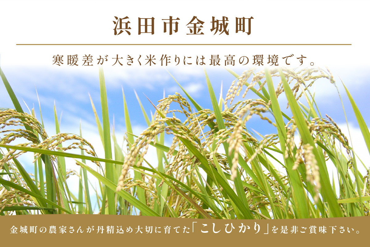 令和5年産】浜田市金城町産「こしひかり」（2kg×4袋） 米 お米 精米 白米 ごはん 新生活 応援 準備 お取り寄せ 特産 こしひかり 米専用箱入り  【611】: 浜田市ANAのふるさと納税