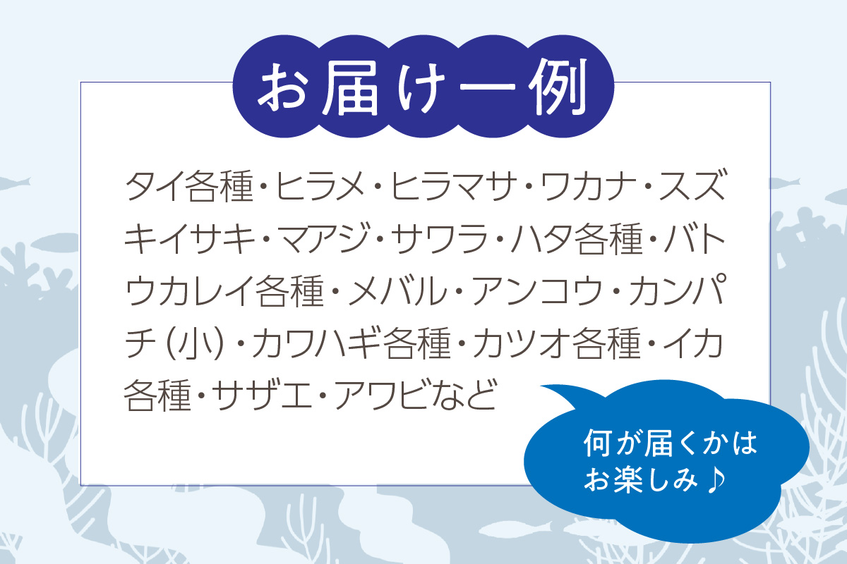 【定期便】季節の鮮魚セット年6回コース 定期便 6回 鮮魚 お任せ お取り寄せ 魚介 鮮魚 セット 下処理済み 【096_1695】