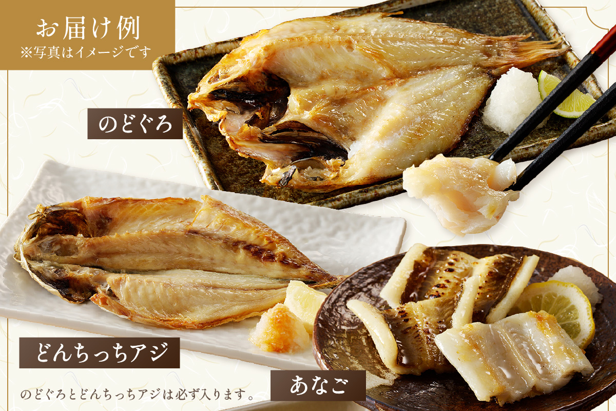 浜田港水揚げ魚の薄塩味干物B（のどぐろを含む） 魚介類 魚貝類 薄塩味 干物 干もの 一夜干し セット 人気 お取り寄せ 【019_1946】