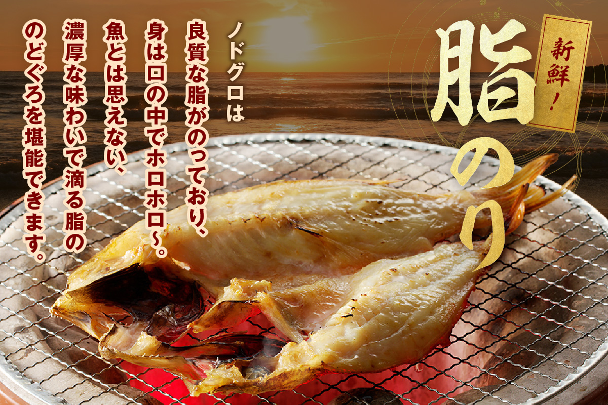 のどぐろ干物 特大3～4枚（計700g前後）＜9月中旬以降発送＞ のどぐろ本来の旨味に出会う渾身の干物 河野乾魚店 魚介類 魚貝類 干物 干もの 一夜干し お祝い お取り寄せ グルメ 【019_1949】