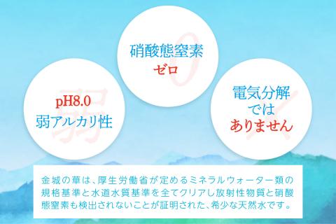 純天然アルカリイオン水 7年保存水500ml 24本入 2箱 ミネラルウォーター 軟水 水 長期保存 飲料水 防災 備蓄 備蓄水 非常用 保存用 防災用 天然水【043_1842】