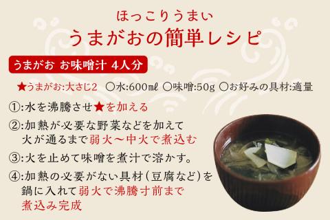 うまがお らーめん3種＆うま味だし1本セット ラーメン 拉麺 3種 セット 詰め合わせ 豚骨 醤油 味噌 半生麺 【145_2058】