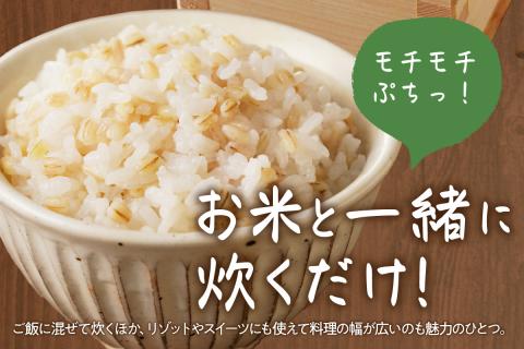 有機JAS認証 島根県産 有機もち麦 500g×3 1.5kg 国産 もち麦 1.5キロ 特産品 食品 【149_1419】