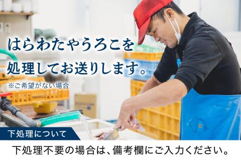 この男に任せてみませんか～浜田の旨い鮮魚直送便～ 海鮮 鮮魚 詰め合わせ セット おまかせ 人気 お取り寄せ 【006_2043】