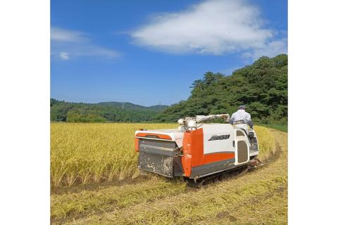 【令和7年度産】浜田市旭町産コシヒカリ～良縁・縁呼米～10キロ＜2025年10月15日より発送予定＞ こしひかり お米 白米 玄米 選べる 常温 【166_1761】