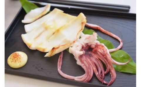 【山陰浜田港・水揚げ】 白いか一夜干し（4枚） 魚介類 魚貝類 干物 干もの 一夜干し お中元 お歳暮 白いか 特産品 つまみ 加工品 【136_1996】