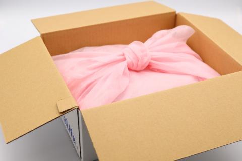 島根県産剣先イカ一夜干し 計600g（4～6枚）個包装・真空袋・ギフト 真空 個包装 干物 白イカ 保存料不使用 大容量 剣先イカ 一夜干し 【005_0119】