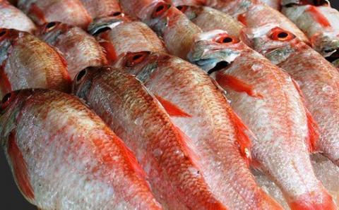 干さない干物極上のどぐろ Fセット 魚介類 魚貝類 魚 干物 干もの 一夜干し 御中元 御歳暮 ギフト 新鮮 厳選 海鮮 セット 個包装 【097_0736】
