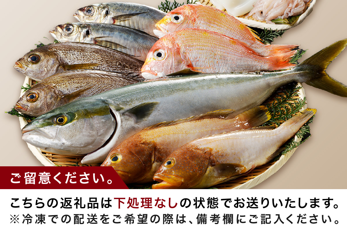 この男にお任せ！浜田の厳選鮮魚お試し便（下処理なし） 【006_2054】