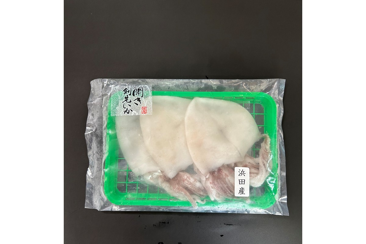 【イカ好き必見！】浜田名物イカ三昧セット（干物・塩辛・いかめし） 【025_0439】