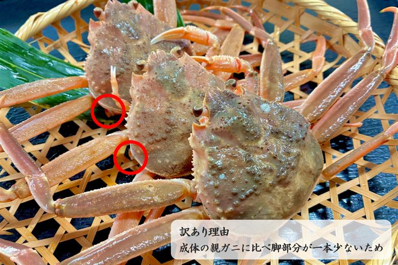 【訳あり】　親ガニ甲羅盛り 【087_1741】