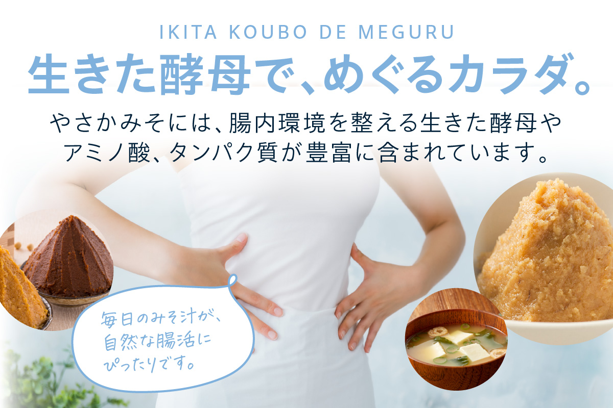有機こだわり味噌セット 調味料 味噌 セット 万能 おみそ 常温 セット 詰め合わせ 【041_1195】