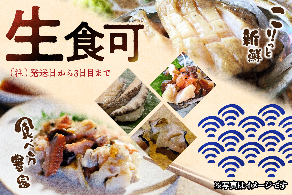 豪華サザエ・あわび詰合せ【本田商店】 海鮮 貝 ふるさと納税 サザエ ふるさと納税 あわび 鮑 詰め合わせ セット BBQ バーベキュー 【033_1775】