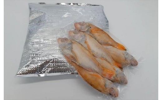 山陰浜田港あけぼの丸の塩焼き・煮付け用お手頃のどぐろセット（冷凍） 魚介類 魚貝類 のどぐろ アカムツ 塩焼き 煮付 内臓処理済み 【146_2043】 【146_2043】