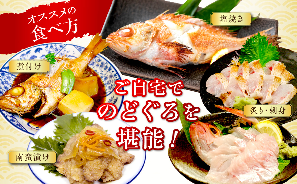 幻の高級魚「のどぐろ（鮮魚）」3～4匹（計800g程度） 魚 鮮魚 海鮮 のどぐろ 冷蔵 高級魚 下処理済 煮付け 塩焼き 【006_2046】