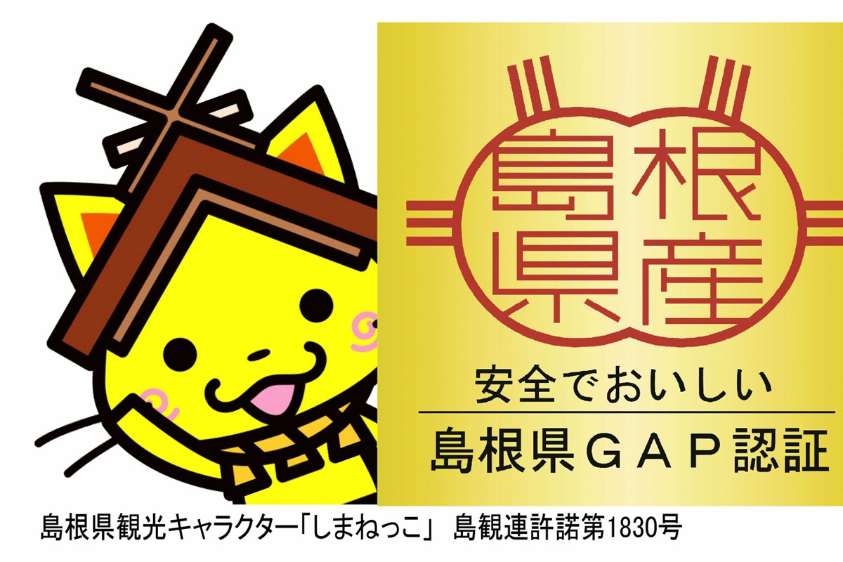 浜田市旭町産ねこのみみ乾燥キクラゲセット 【157_0001】