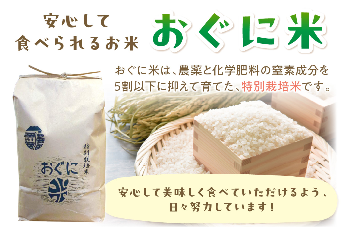 【令和6年産】浜田市金城町産の美味しいコシヒカリ100％【おぐに米】10kg 10キロ 米 おこめ コシヒカリ 白米 精米 特産品 ごはん お取り寄せ 小分け 【071_2065】