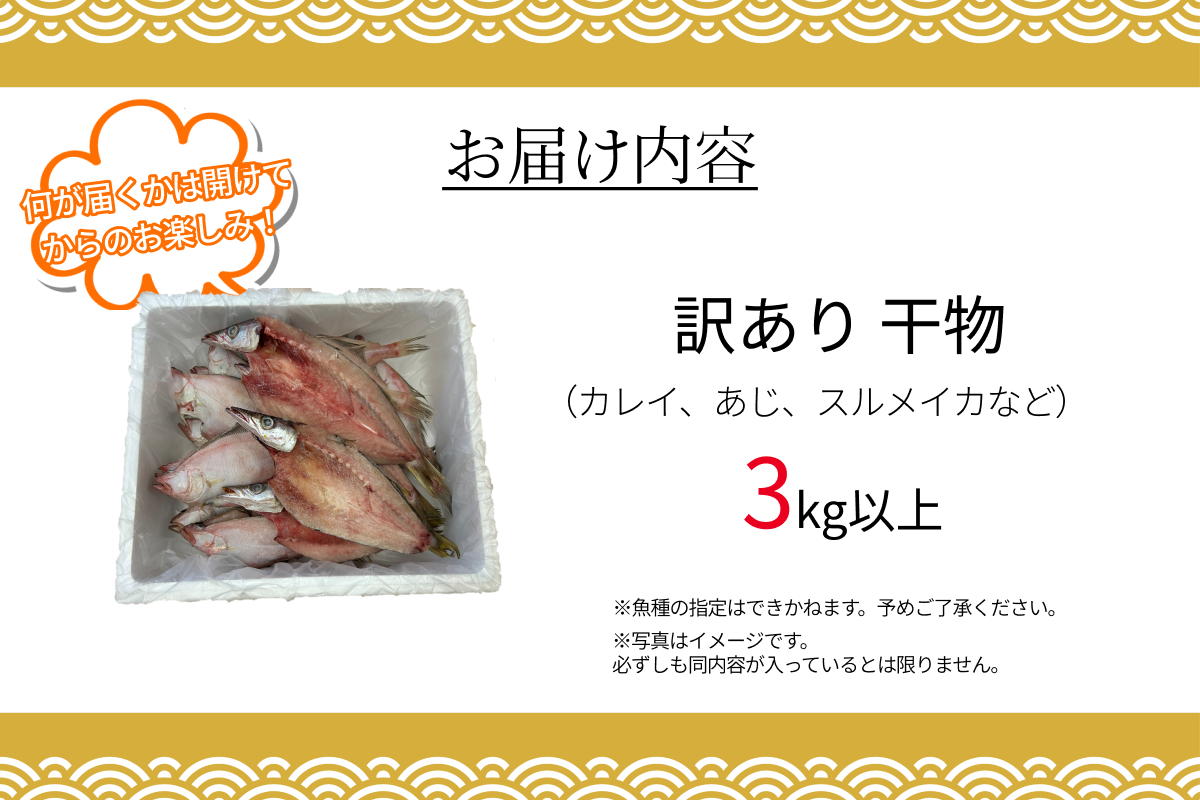 訳あり 干物てんこ盛りセット 3kg以上 【176_1790】