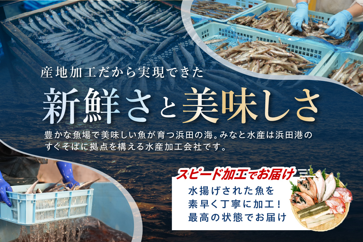 干物詰め合わせセット（7種）【007_1940】