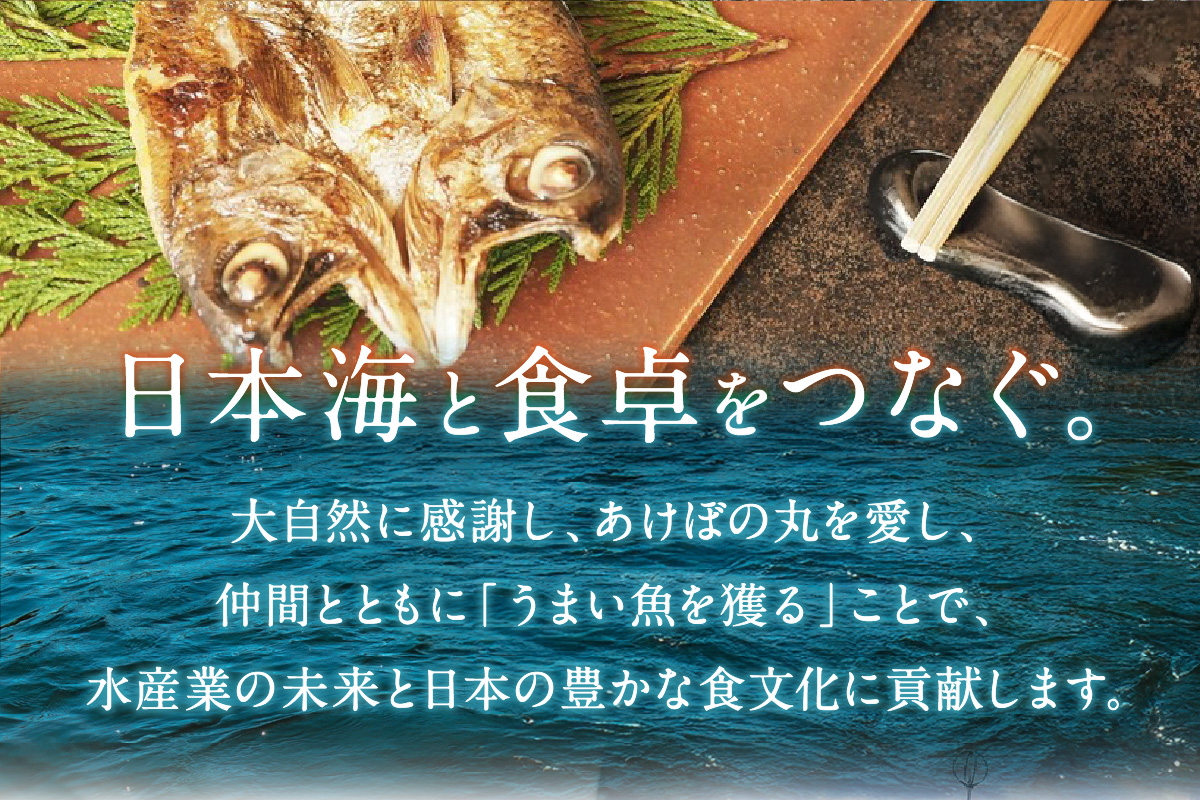 山陰浜田港 天然ふぐ鍋・炙り刺身セット 特製ポン酢付（3～4人前） 魚介 鍋 ふぐ 刺身 たたき セット 鍋セット 鍋料理 海鮮鍋 【146_2034】