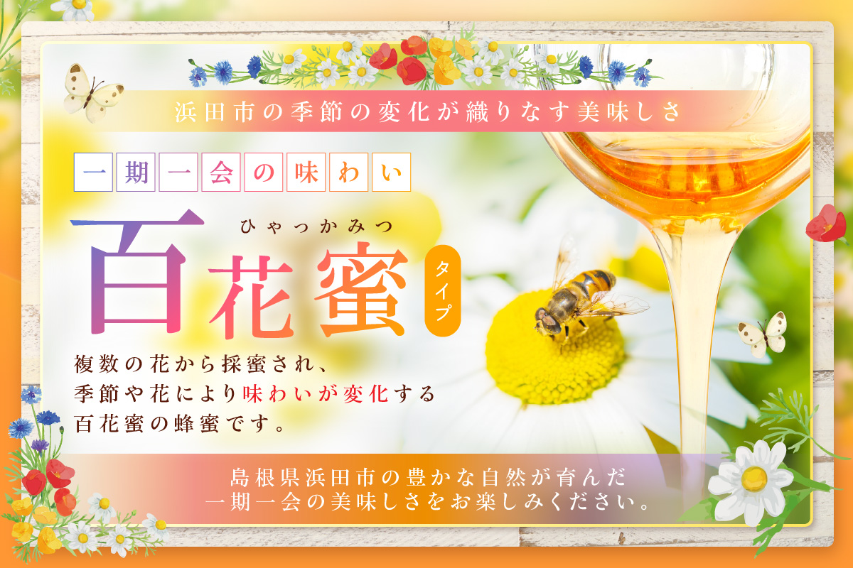 水のきれいな浜田市金城町産「いわみの里山 純粋はちみつ」500g×2本【184_1904】
