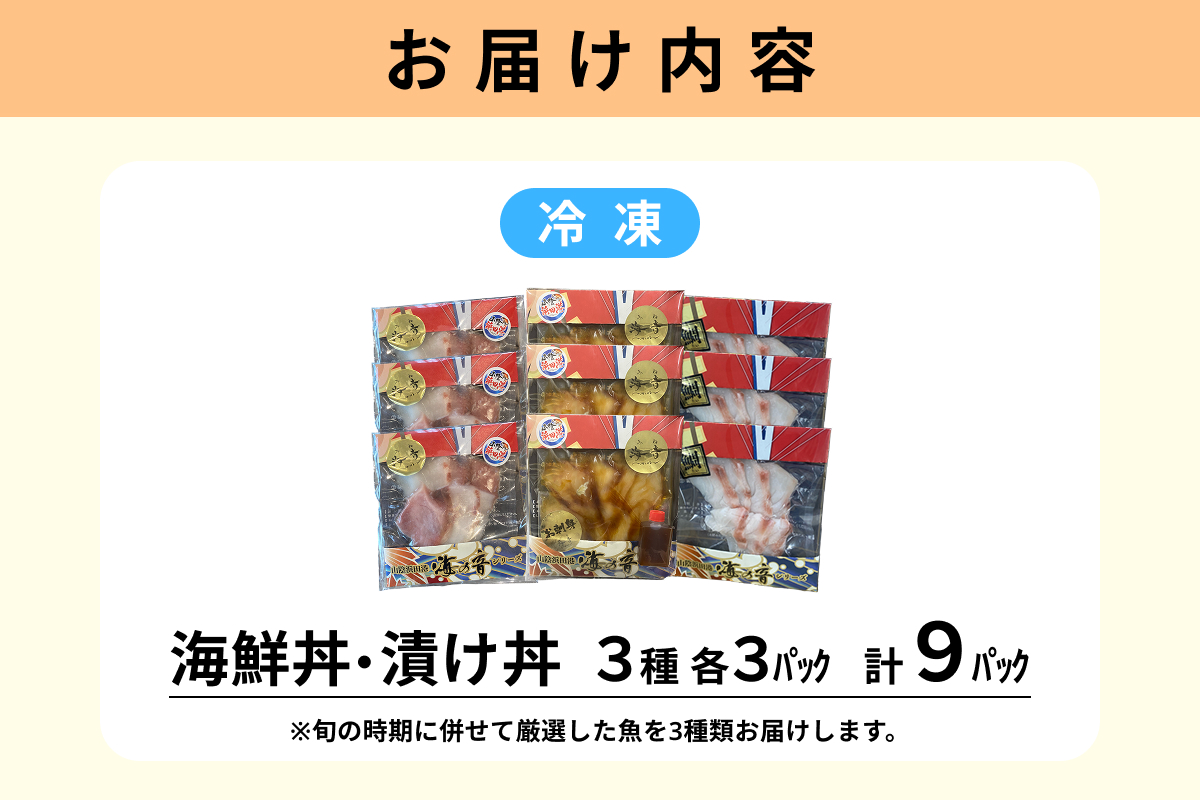 浜田の海鮮丼・漬け丼おまかせ3種セット 9パック 【195_2020】