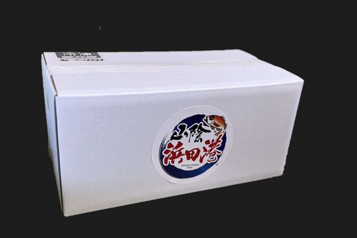 【訳アリ】白いか一夜干し （150g～250gｘ4～5枚） 訳アリ 小分け いか 白いか 個包装 一夜干し 産地直送 おつまみ 【136_2003】