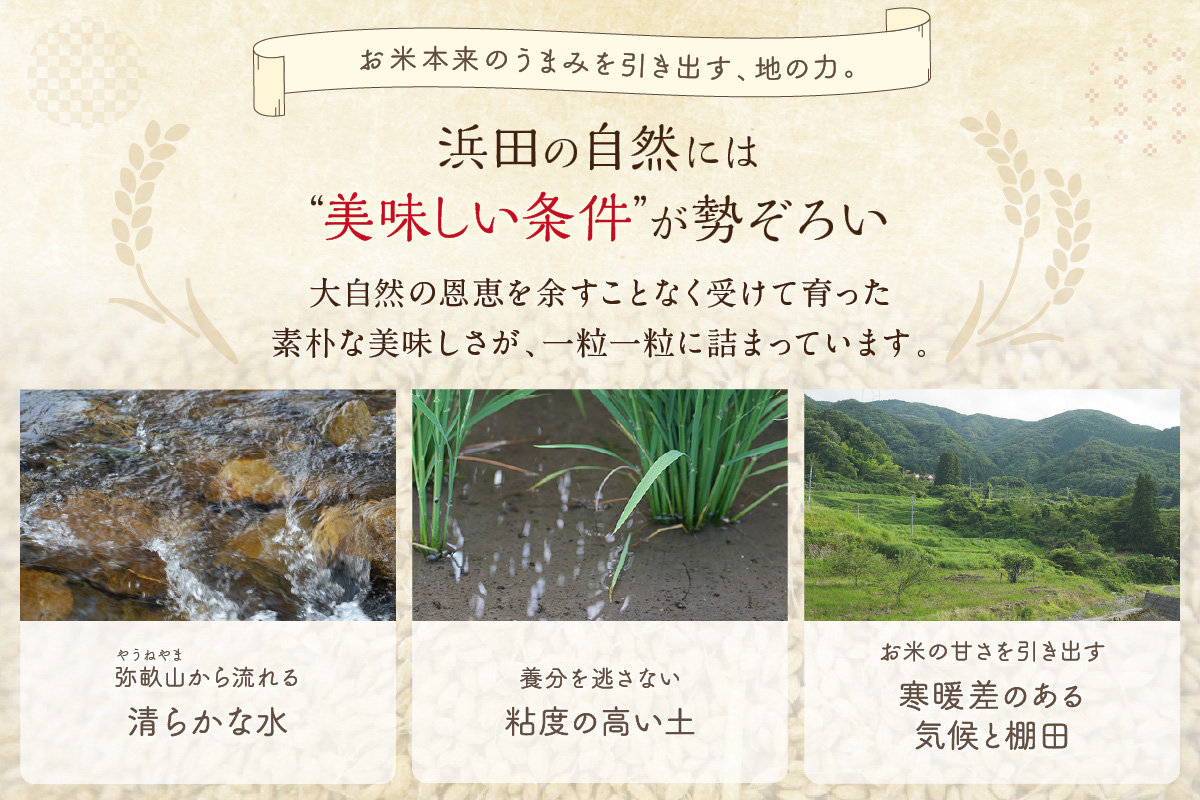 【定期便】【令和7年産】弥栄町産特別栽培米「秘境奥島根弥栄」こしひかり5kg（12回コース） 定期便 12回 お米 こしひかり 5キロ 【090_1878】