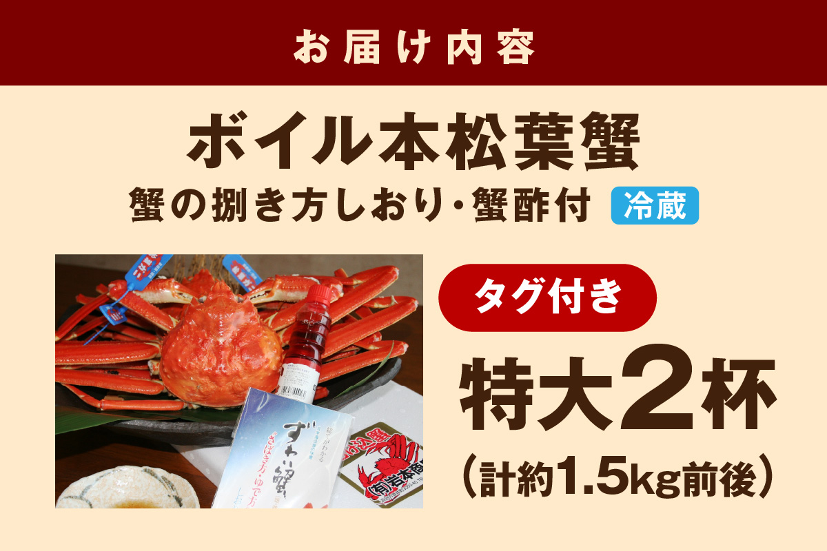 【 国産日本海の松葉蟹をボイルでお届け！ 】【先行予約】 ボイルでお届け。ボイル本松葉蟹 特大2杯（タグ付き）Cセット＜12月10日～2月末までのお届け＞ 国産 カニ 魚介類 海の幸 年内配送 年末年始配送 【097_0729】