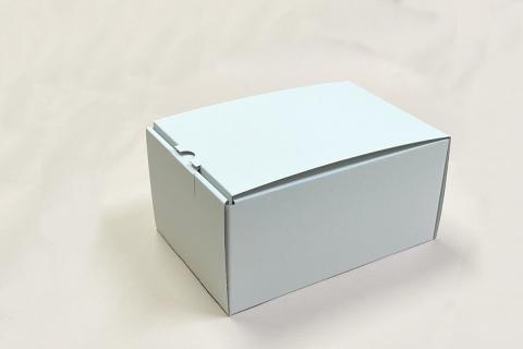 浜田自慢 西条柿そのまんまシャーベット 6個セット 果物 フルーツ 柿 西条柿 冷凍 シャーベット 【145_2068】