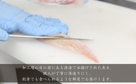 天然魚しゃぶしゃぶ盛り 300g 5～6人前 産地直送・旬・おまかせ鮮魚 魚介類 魚 天然魚 しゃぶしゃぶ 鍋 刺身 産地直送 旬 小分け セット 【005_0121】