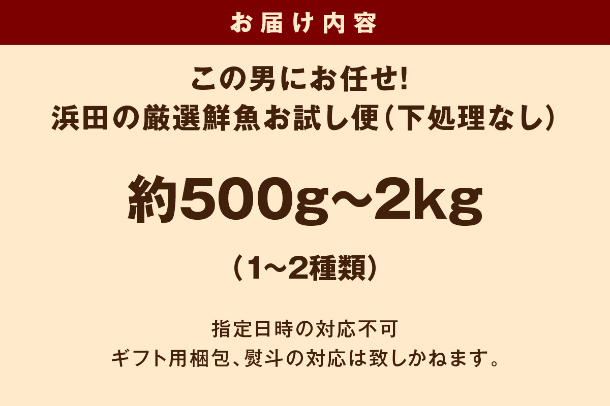 この男にお任せ！浜田の厳選鮮魚お試し便（下処理なし） 【006_2054】