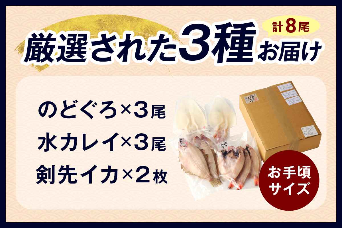 山陰浜田港水揚げされた人気干物セット 【025_0437】