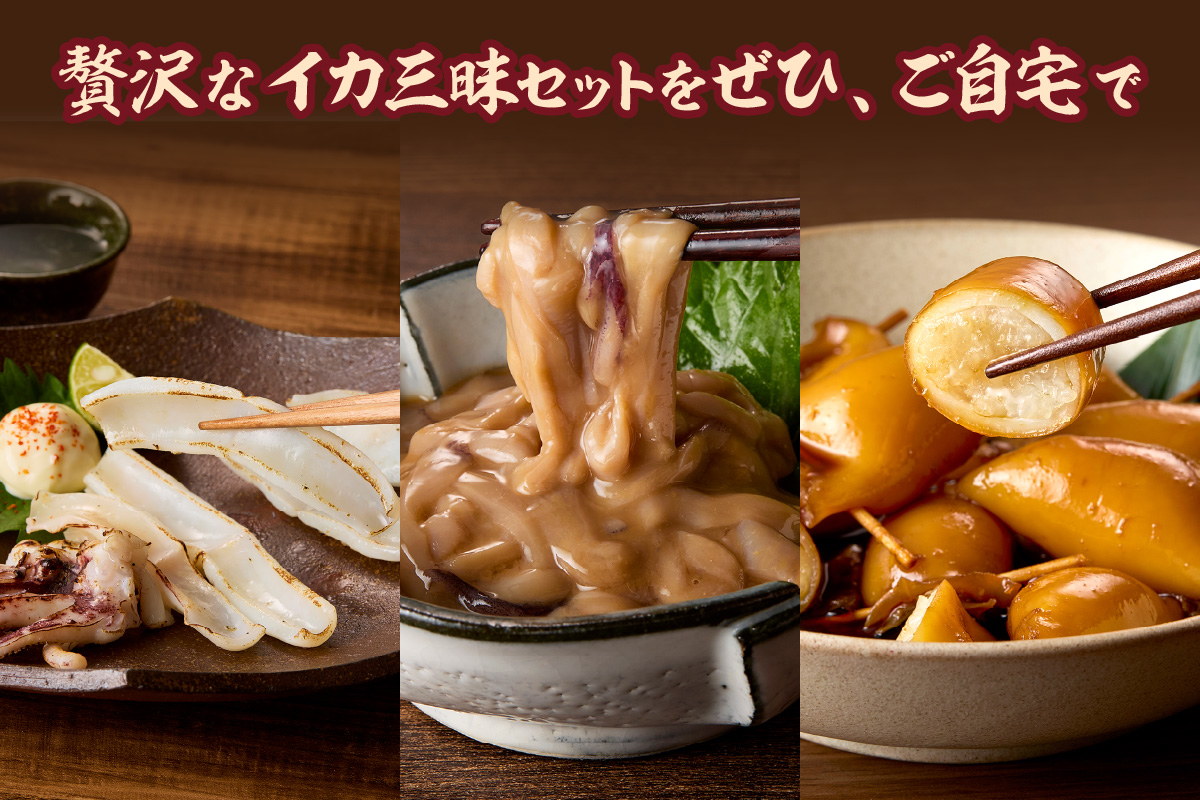 【イカ好き必見！】浜田名物イカ三昧セット（干物・塩辛・いかめし） 【025_0439】