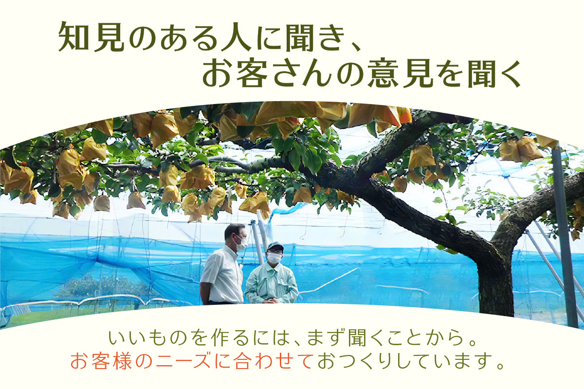 【先行予約】はまだ特産の西条柿、赤梨、いちじくのドライフルーツセット＜10月上旬より順次配送＞ 【032_2109】