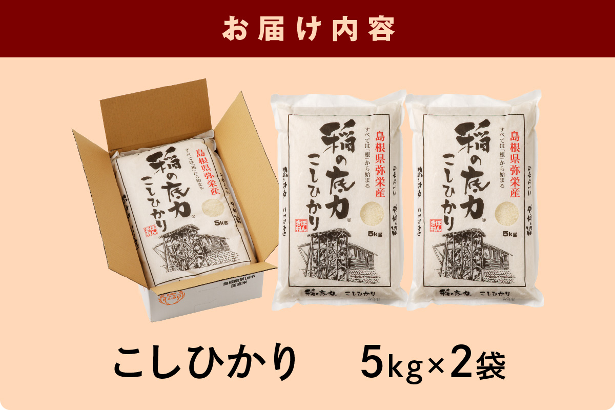 【令和7年産】浜田市産「稲の底力こしひかり」10kg お取り寄せ 特産 お米 精米 白米 ごはん ご飯 コメ 新米 新生活 応援 準備 10キロ 【197_1950】