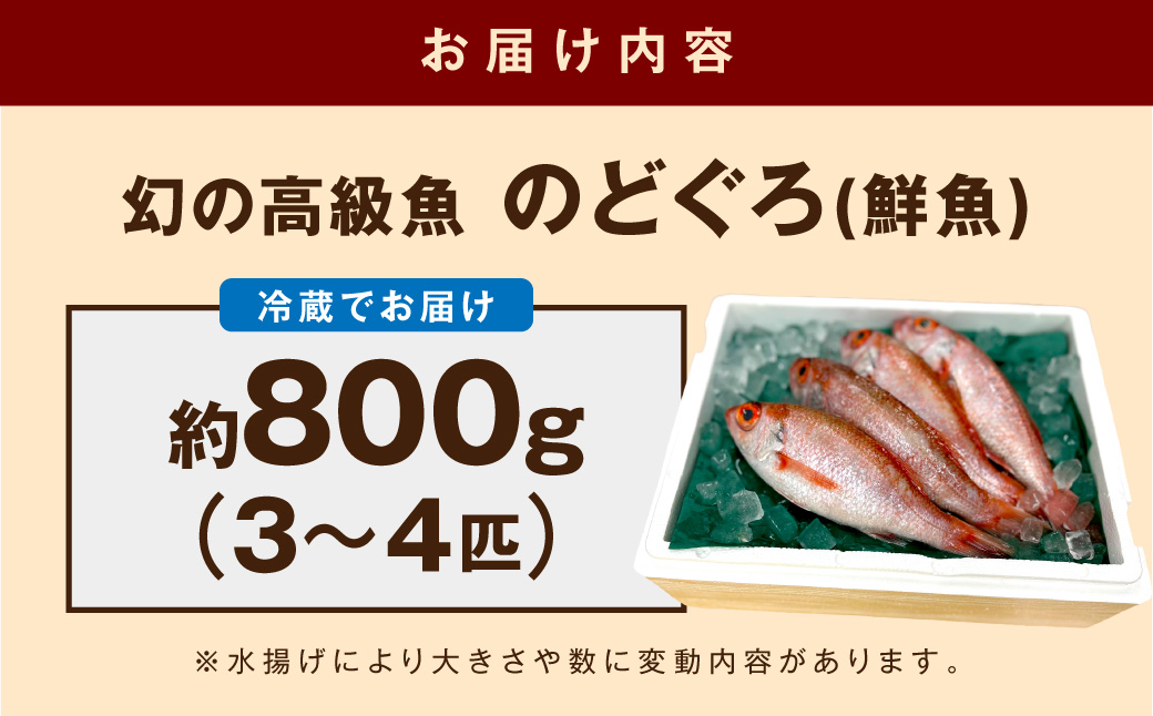 幻の高級魚「のどぐろ（鮮魚）」3～4匹（計800g程度） 魚 鮮魚 海鮮 のどぐろ 冷蔵 高級魚 下処理済 煮付け 塩焼き 【006_2046】