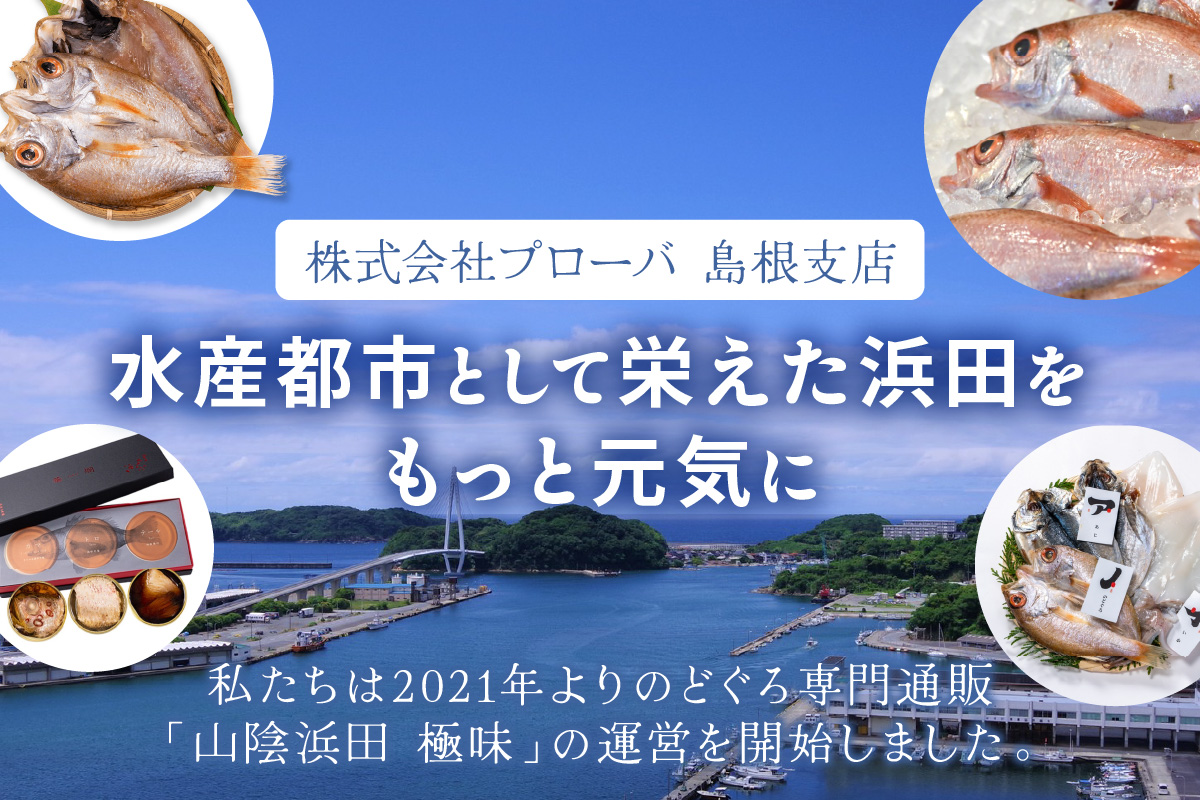 山陰浜田極味 のどぐろ一夜干し（大）4枚入り 魚介類 魚貝類 魚 のどぐろ 干物 一夜干し 【164_1844】