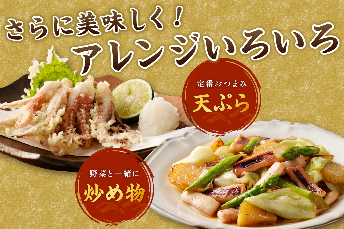 島根県産スルメイカ一夜干しカット済 計1.2kg（小分け200gｘ6袋） いか スルメ 一夜干し 1.2キロ カット済 おつまみ 小分け 個別包装 少量 【005_0118】