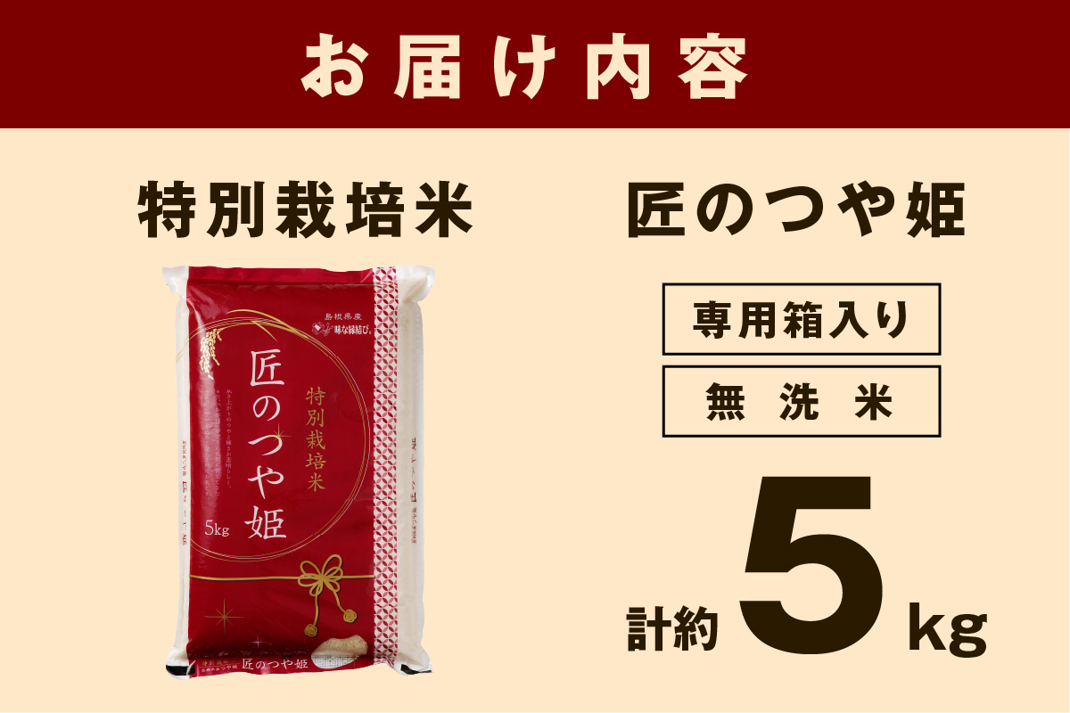 【令和6年産】無洗米 特別栽培米「匠のつや姫」 5kg 米 無洗米 特別栽培米 つや姫 精米 白米 5キロ 【058_1832】