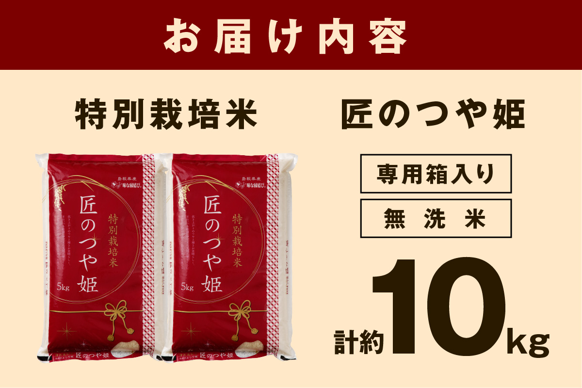 【令和6年産】無洗米 特別栽培米「匠のつや姫」 5kg×2袋 米 白米 精米 無洗米 特別栽培米 つや姫 合計 10kg 10キロ 【058_1833】