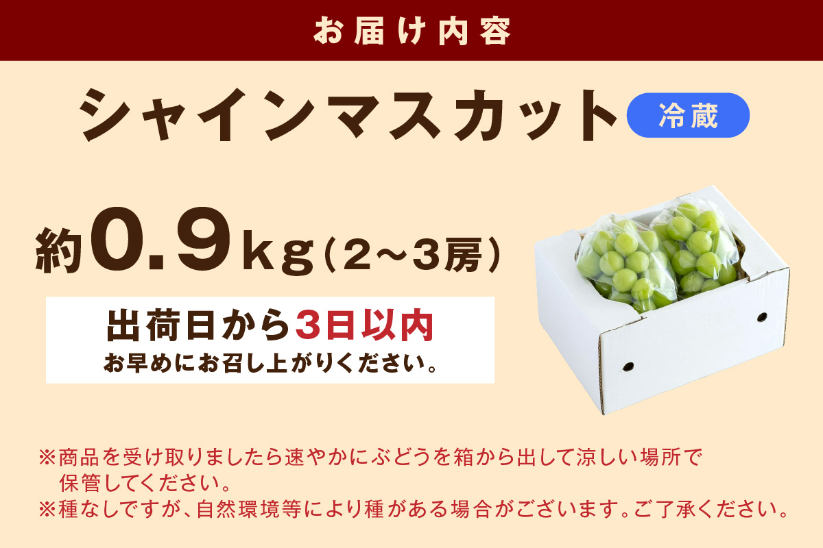 【先行予約】根域制限シャインマスカット 約0.9kg 2～3房《9月中旬頃から発送》 果物 シャインマスカット 【183_1881】