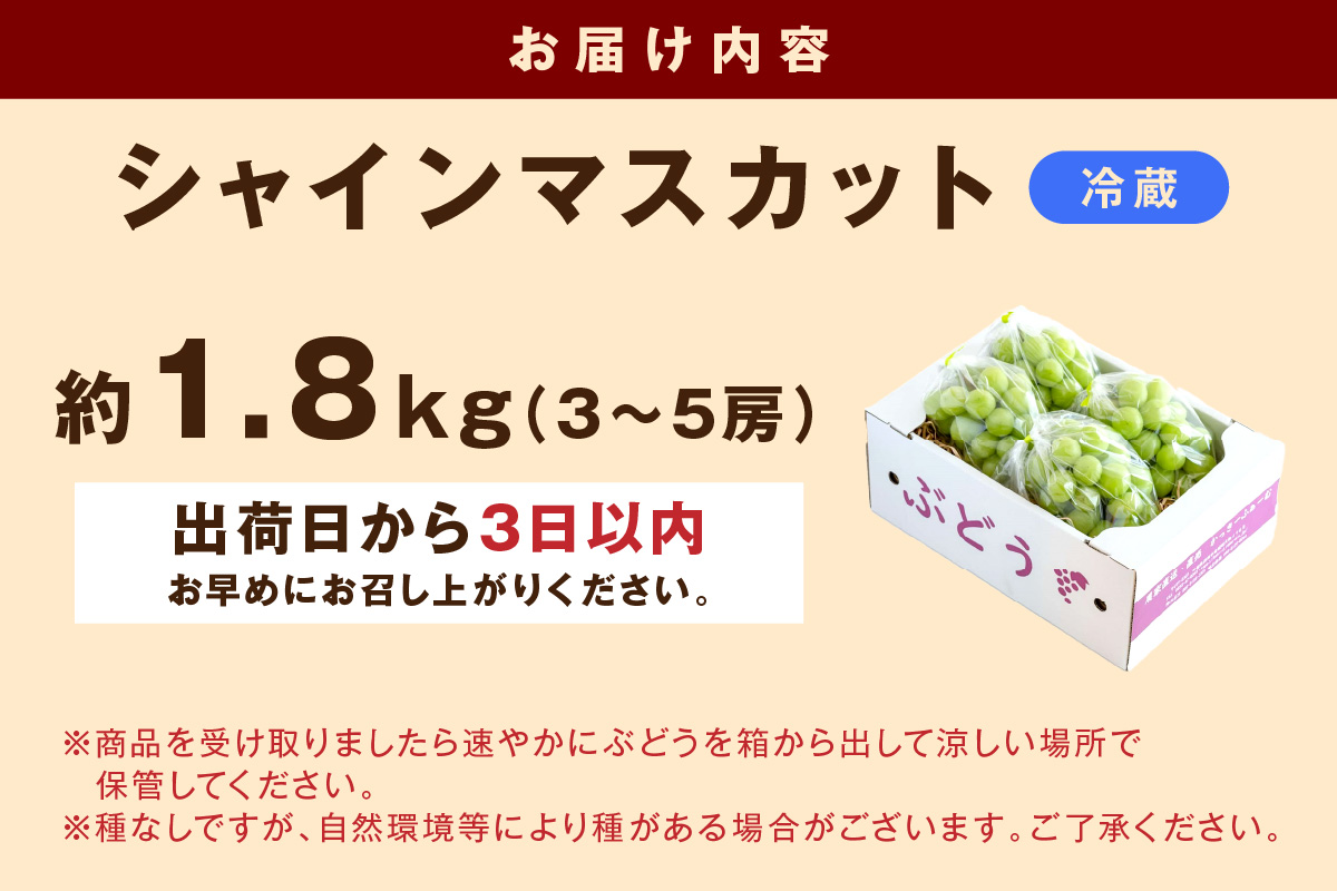 【先行予約】根域制限シャインマスカット 約1.8kg 3～5房《9月中旬頃から発送》 果物 シャインマスカット 【183_1882】